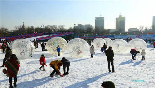 玉渊潭公园冰雪节门票