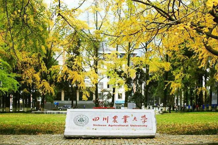 四川农业大学有那么多的校区每个校区要怎么进啊，学校分配么，还是按专业？