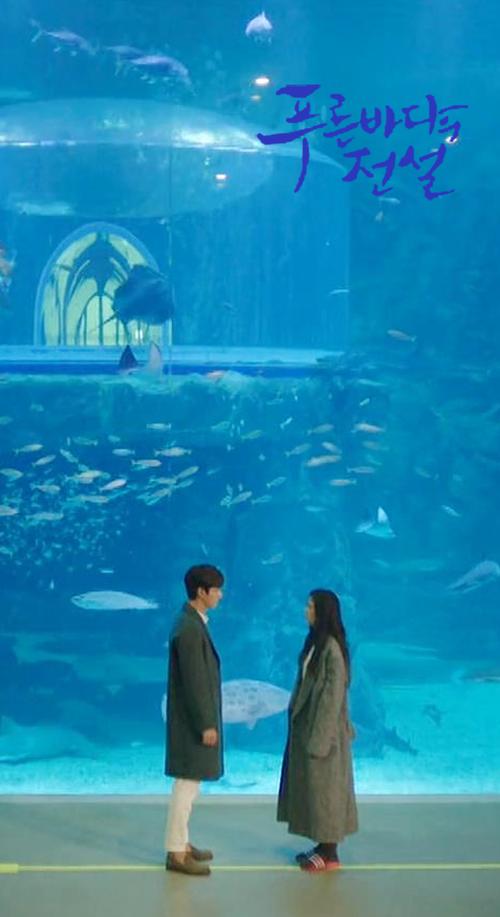 电视剧《蓝色大海的传说》第1、2集讲什么内容？