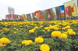 成都花博会在温江那里？详细地址