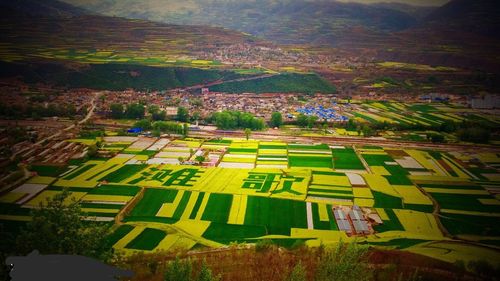 武山油菜花哪地方风景最好？