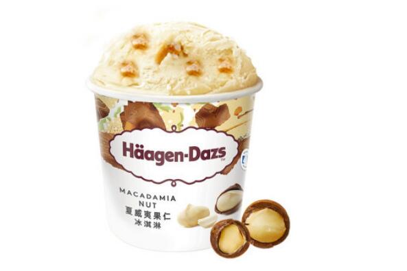 国内外著名冰淇淋品牌?