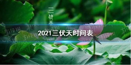 2014年三伏天从几月几日开始到几月几日结束？