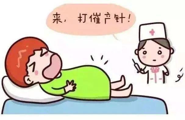 催产素多少钱一针
