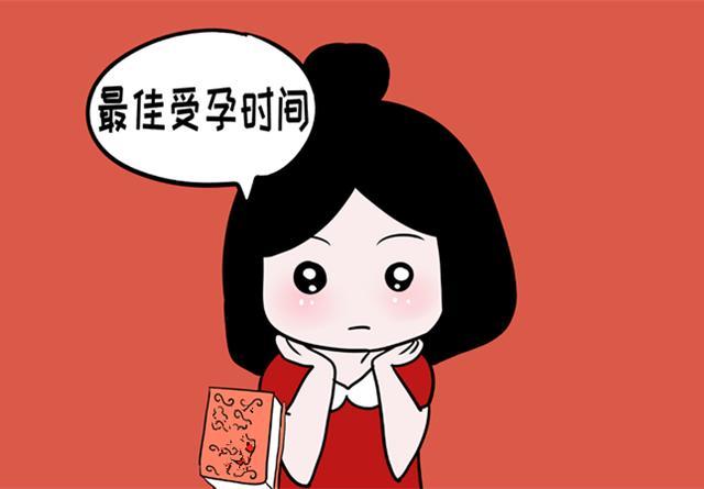 女人结婚以后什么时候怀孕
