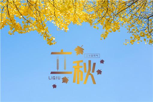 今年什么时候立秋