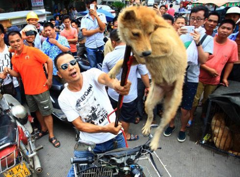 2020年玉林狗肉节的时间是什么时候？