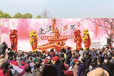 南汇桃花节
