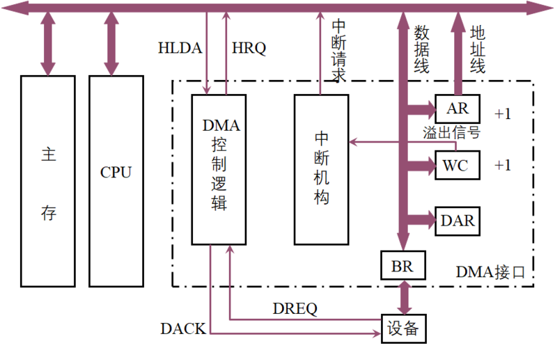 DMA控制器（接口）主要由哪些部件组成