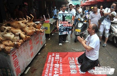 玉林荔枝狗肉节的介绍