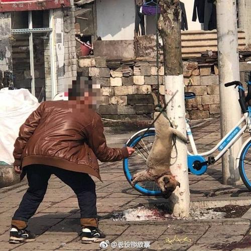 杭州男子居民楼下杀狗，为什么现在恨狗的人越来越多了？