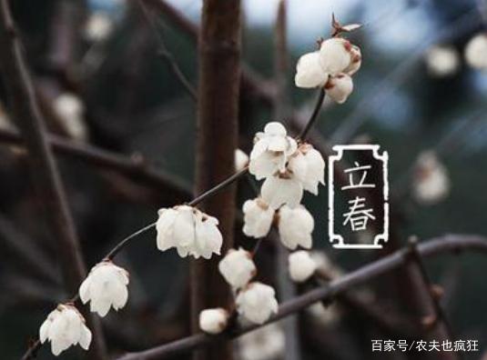 打春是什么意思？