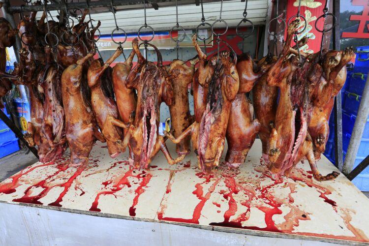 2015玉林狗肉节什么时候举办
