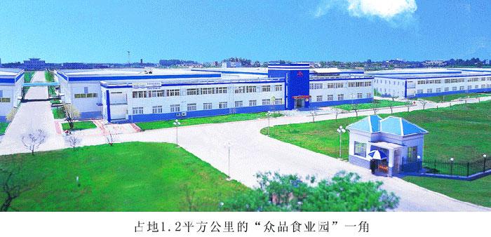 河南众品食业股份有限公司的基本概况