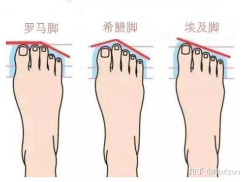 什么类型的脚趾 是不是希腊啊？