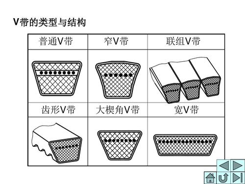 带的结构是什么