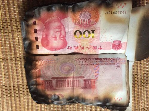 男子当街烧人民币，违反了什么样的法律法规？