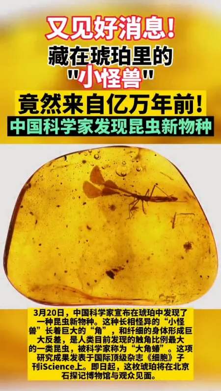 我国发现亿万年前昆虫新物种，这具有怎样的研究价值？