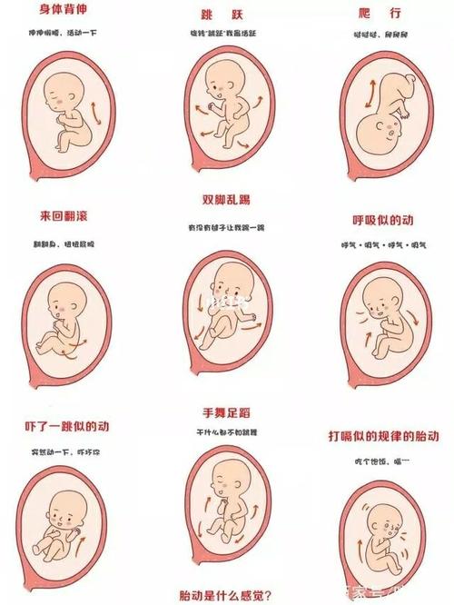 在怀孕时，宝宝都会在妈妈的肚子里面做哪些动作呢？