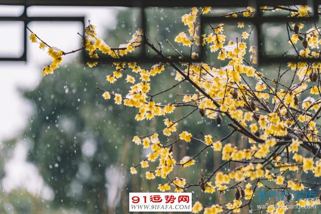 今天立春是几点几分几秒？