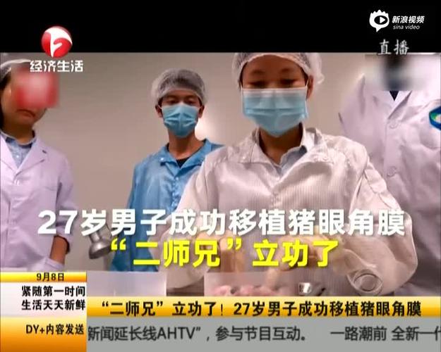 湖北男为何移植猪眼角膜成功？