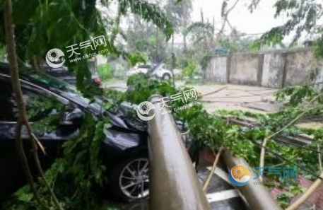 台风“杨柳”逼近海南，今年台风为何这么多？
