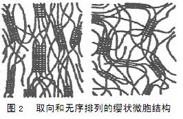 富强纤维的富强纤维的产生