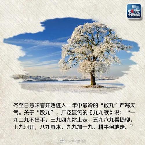 今天是几九第几天了？