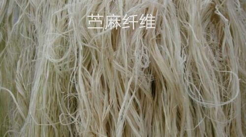 麻丝是什么？和黏胶纤维的区别