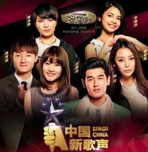 2017年中国新声音冠军是谁