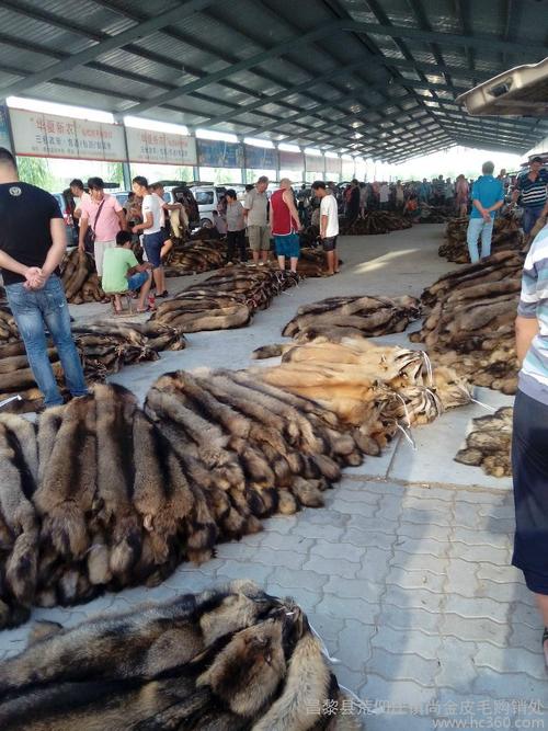 狐狸皮曾卖400元，为什么现在却很难卖出去？