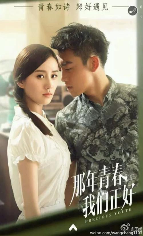 那年青春我们正好小说