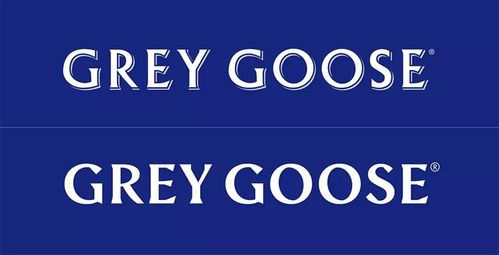 GREY  GOOSE是什么意思