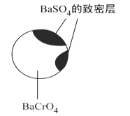 cro42-叫什么？