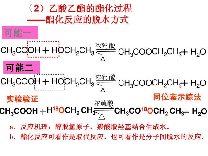 羧酸中的羟基能和其他羧酸发生酯化反应么？