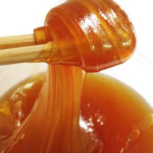麦芽糖是什么
