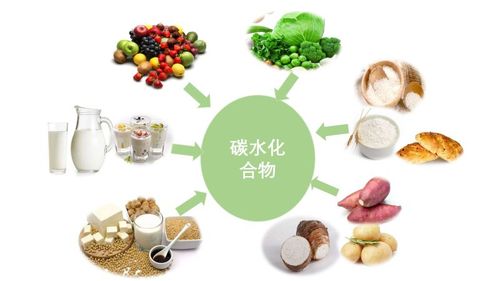 碳水化合物是指哪些食物？