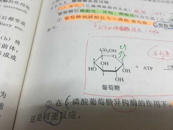 葡萄糖为啥叫葡萄糖呢？ 它的主要成分是什么？