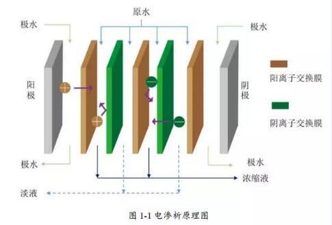 电渗析水处理