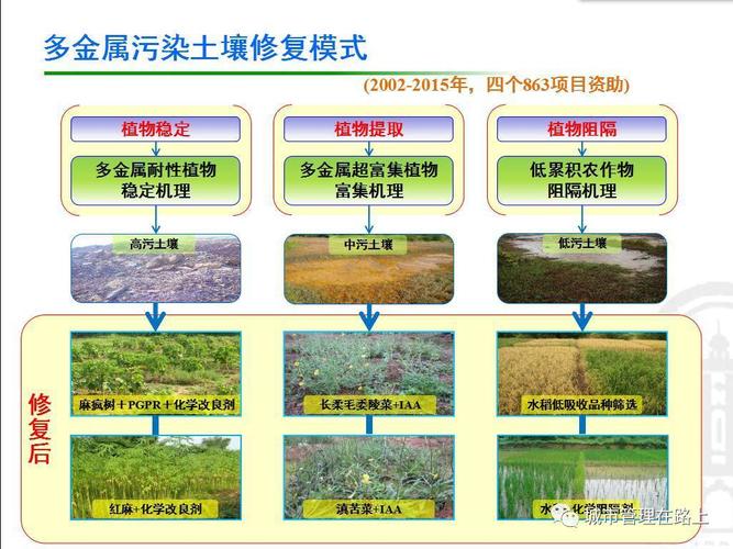 土壤污染修复用什么技术来支撑
