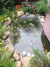 鱼池景观水处理一般选择什么设备