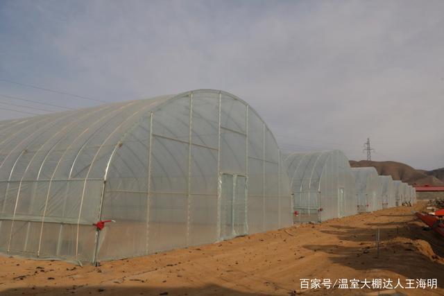 蔬菜温室大棚的换气次数