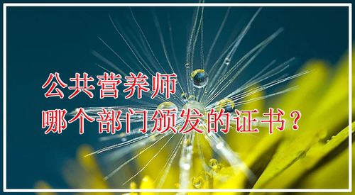 营养师分哪几种？
