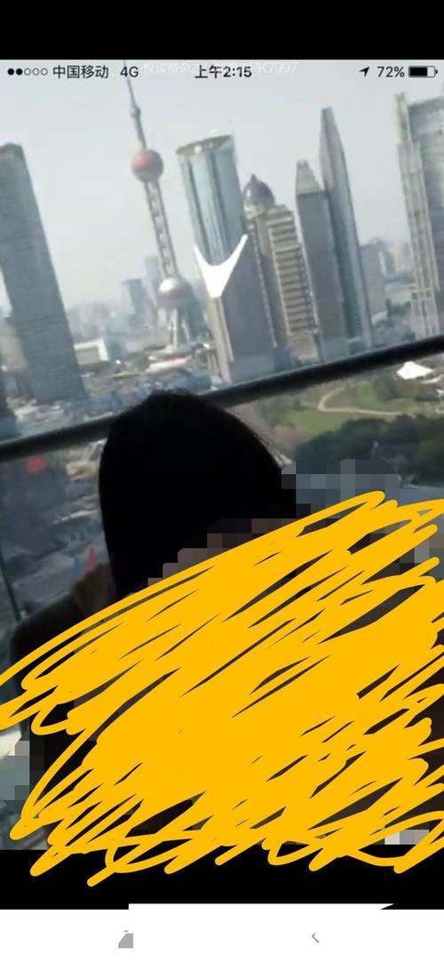 请问谁有陆家嘴视频资源？