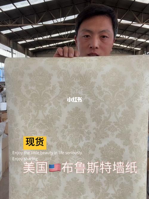 布鲁斯特墙纸怎样