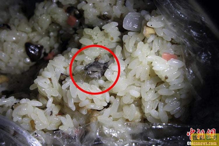 浙大学生食堂饭菜有老鼠，学生难受作呕，这是怎么回事？