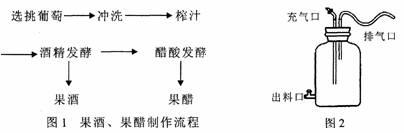 果酒果醋发酵装置各部分作用