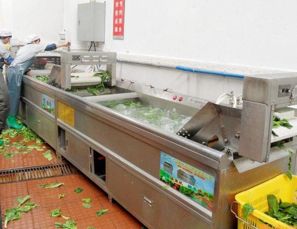 该如何去挑选一台洗菜机呢？