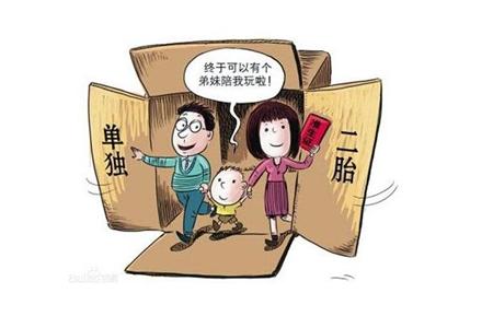 双独家庭的生育政策