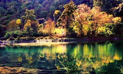 田湾河风景区的自然资源